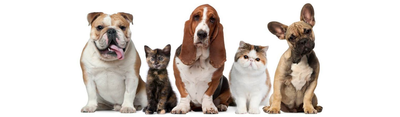 Kom een keer naar onze dierenzaak in Capelle aan den Ijssel